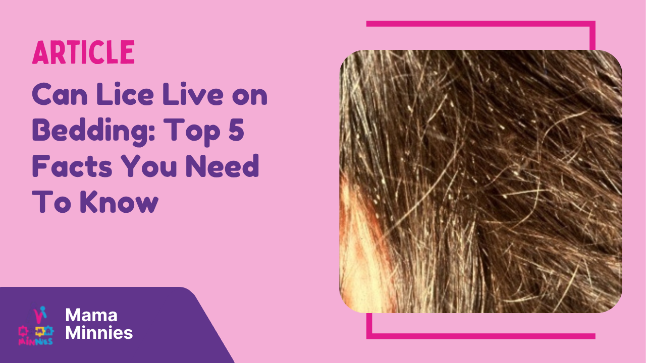 Can Lice Live on Bedding Top 5 Facts You Need To Know