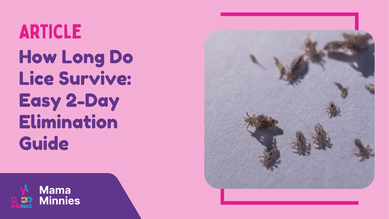 How Long Do Lice Survive Easy 2-Day Elimination Guide