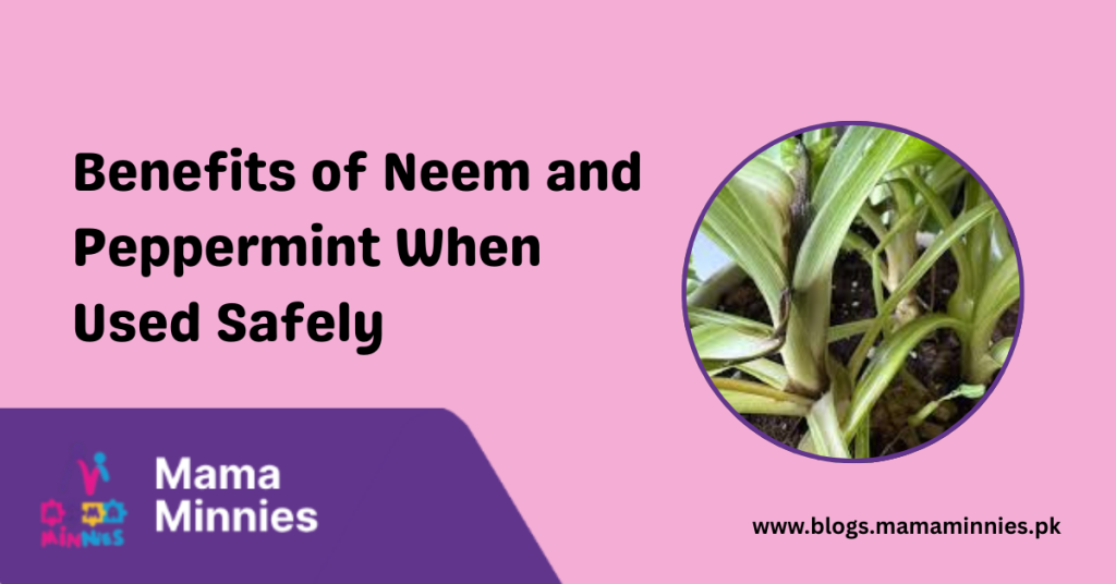 Benefits of Neem and Peppermint When Used Safely